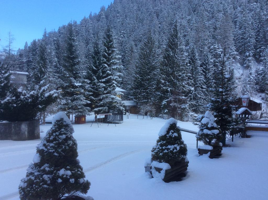 Hotel Alpina Regina Biberwier Zewnętrze zdjęcie